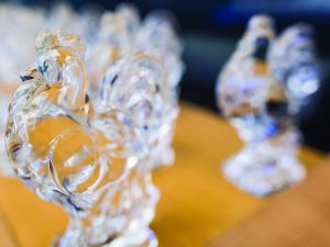 Mise à l’honneur des Talents wallons 2022